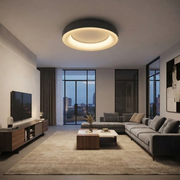 DIP Soffitto